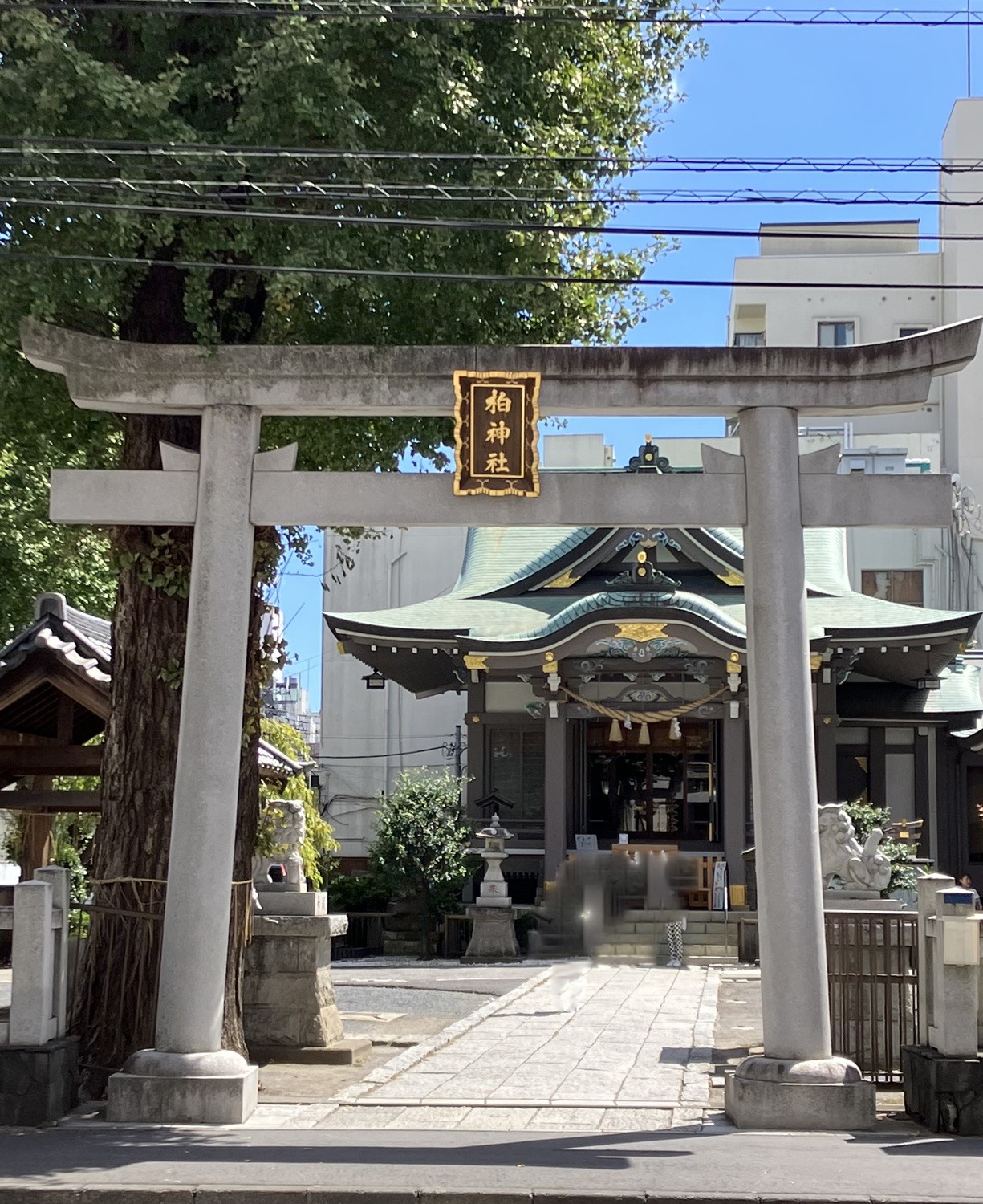 柏神社